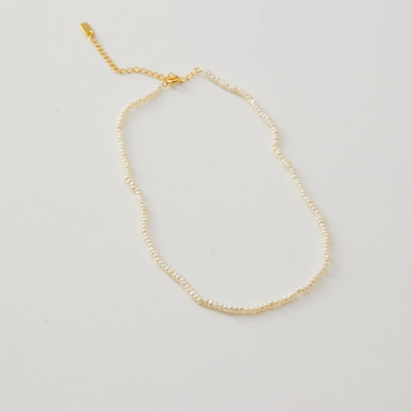 Chloe Choker