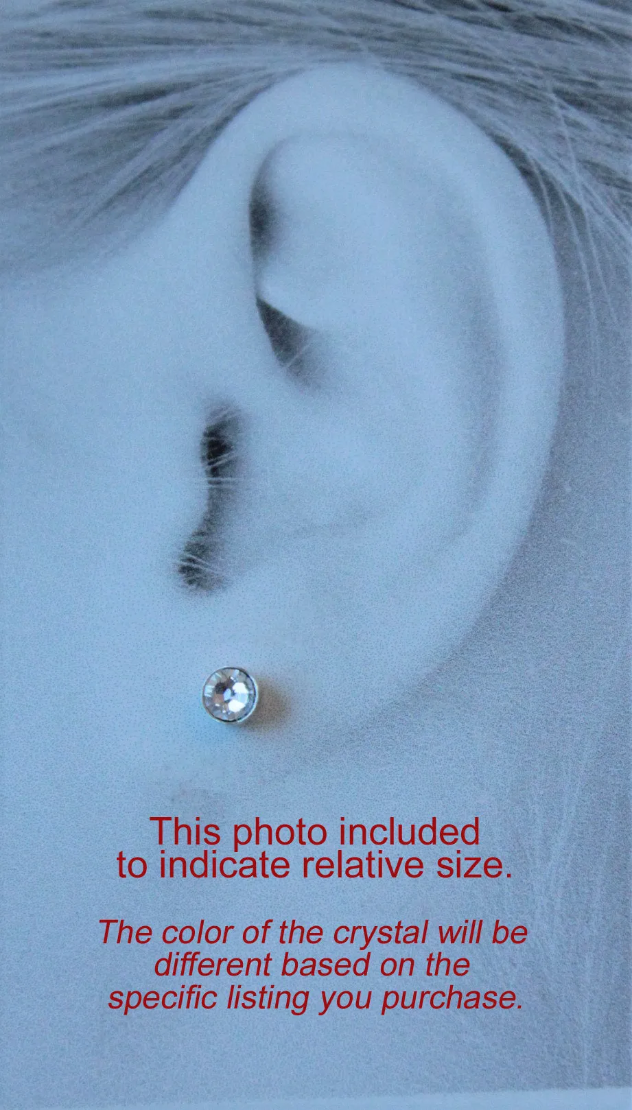 Fuchsia Swarovski Crystal Bezels (Pure Titanium Post Earrings)